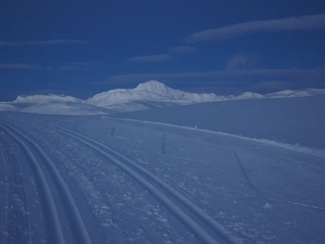 Skiløyper i "blåtimen" med fjellet Bitihorn i bakgrunnen
